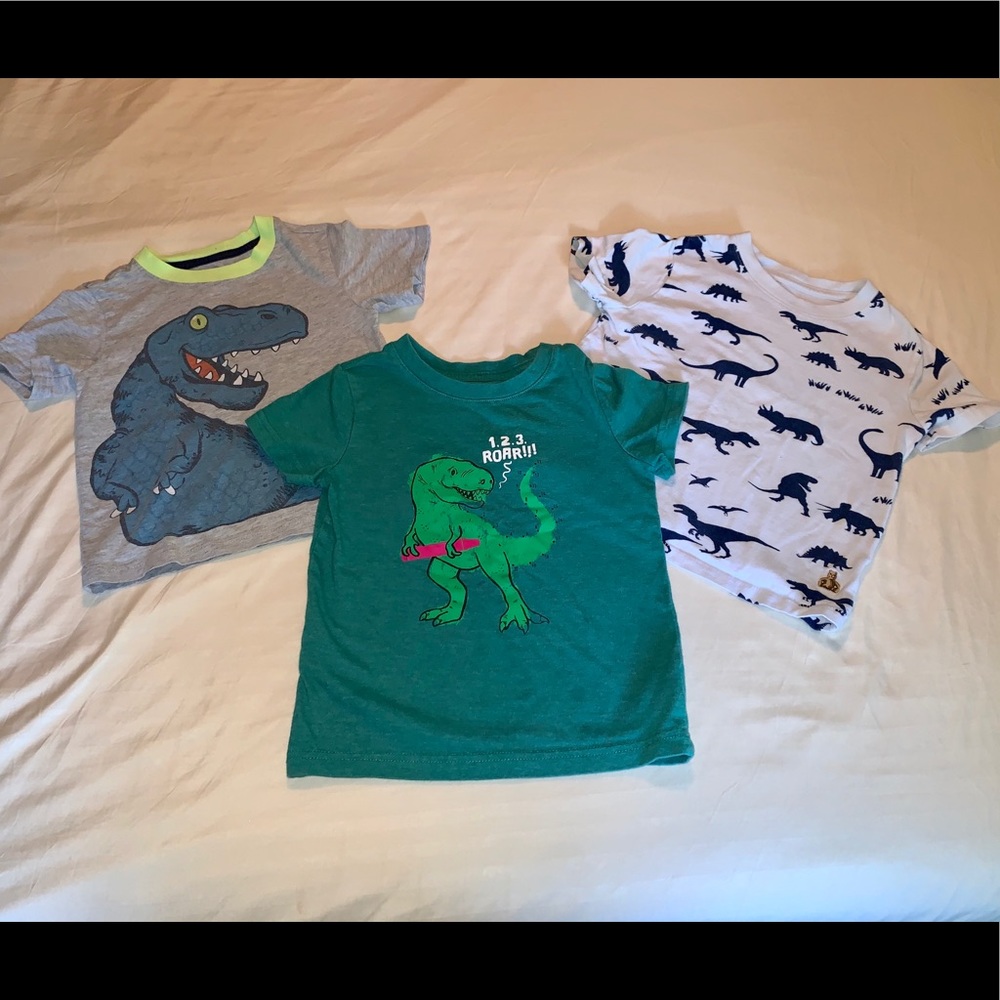 Dinosaur Lover T-Shirt Bundle, Size 3T